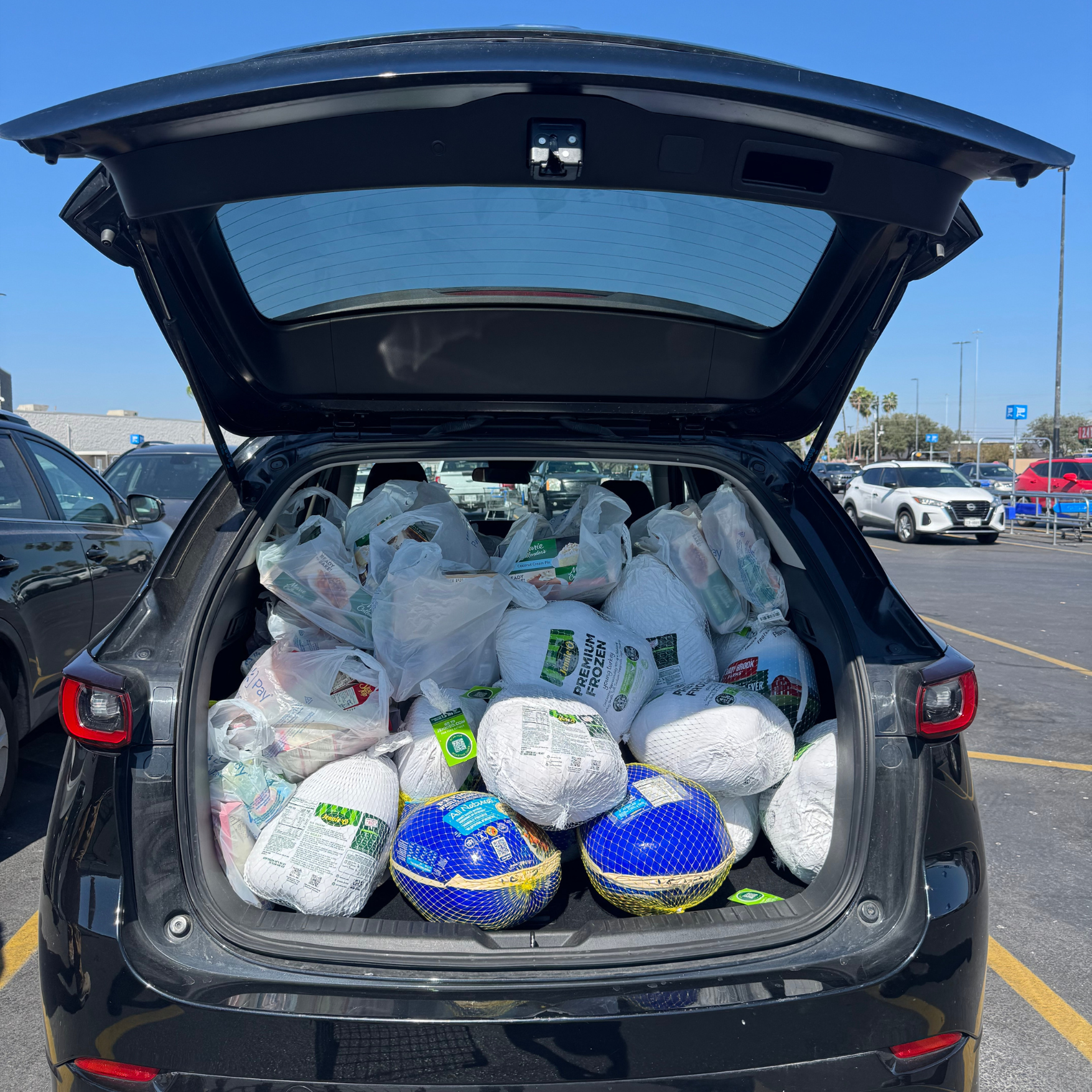 29 turkeys and meal kits were donated by TruGrid!